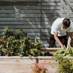Grimmster-the benefits of gardening