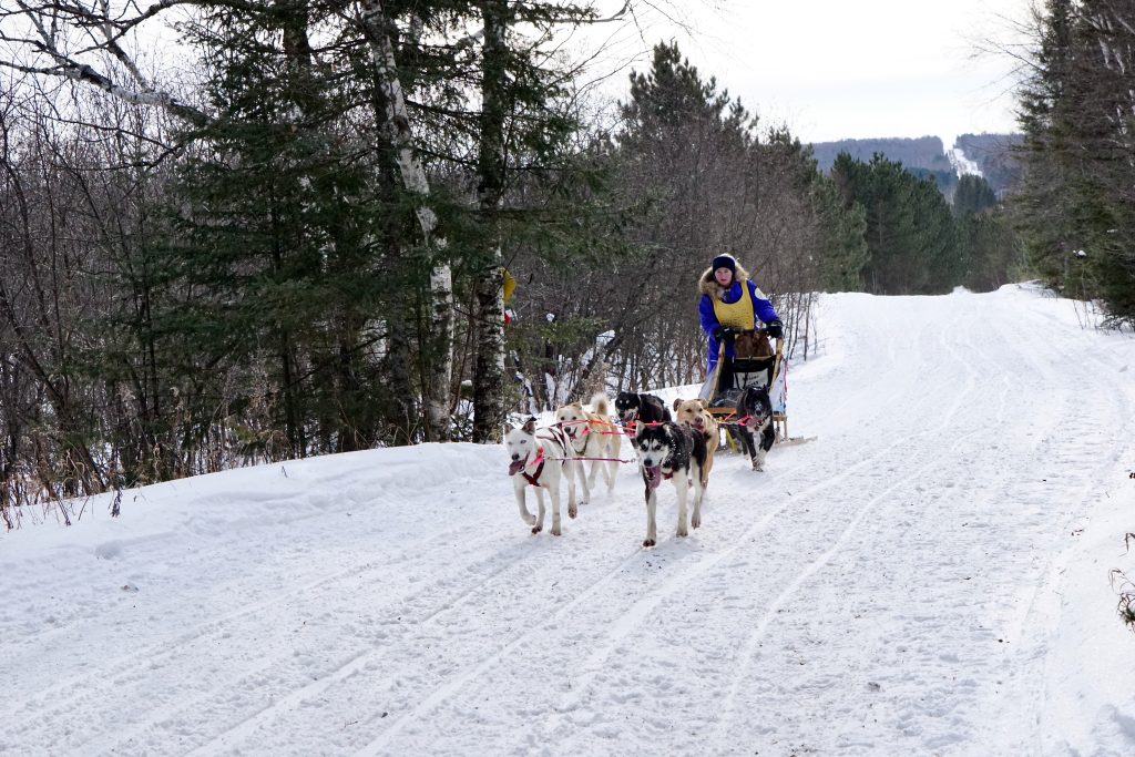 Grimmster-Charles-Grimm-Photography-Sled-Dog-Event