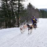 Grimmster-Charles-Grimm-Photography-Sled-Dog-Event