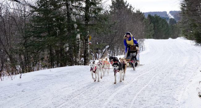 Minnesota Sled Dog Racing